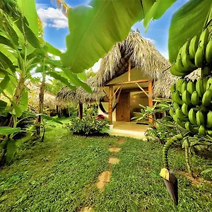 Bed & Breakfast Casa Picaflor